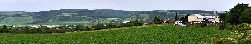 Kobylí