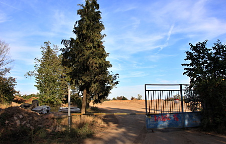 IMG 0481