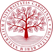 logo strom